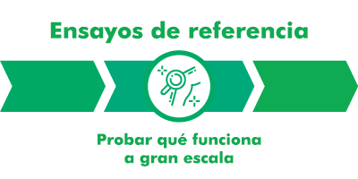 Ensayos emblemáticos sobre OA