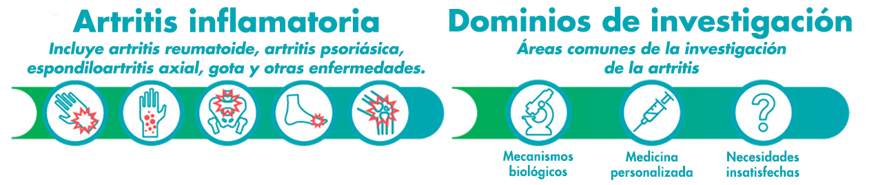Gráfico explicativo de la artritis inflamatoria